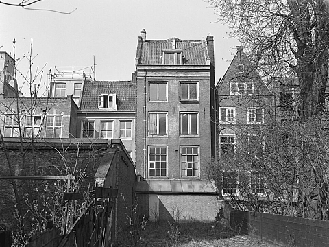 Blick von einem Hintergarten auf eine Reihe von schmalen, eng aneinander gebauten Wohnhäusern.