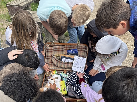 Aktionen der Schulen